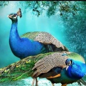 Meet your Posher, Sabrina